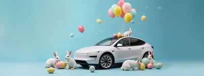 Teslas Geheimnisse entdecken: Nützliche Funktionen und lustige Easter Eggs