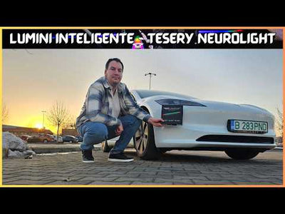 Tesery Mittelkonsolen-Organizer im Test: Ein Tesla Must-Have!
