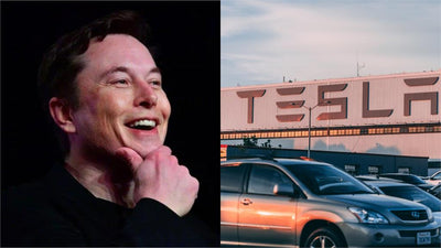 Tesla-Fans fordern Musk auf, das PR-Team wiederzubeleben