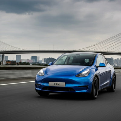 Tesla Model Y führt: Wöchentliche Neuzulassungen in China erreichen Höchststand im dritten Quartal