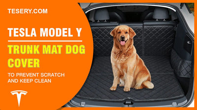 Ist es notwendig, Tesla Trunk Mat Dog Cover mit Model Y zu kaufen?