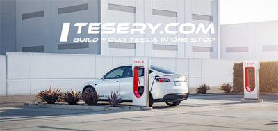 Revolution ierung der Lade infrastruktur Nordamerikas: Teslas NACS und CCS verbinden sich in einem hoch betriebenen Netzwerk