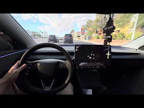 Tesery Tesla Hunde-Sitzbezug: Ultimativer Schutz für Haustiere