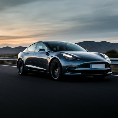 Tesla-CEO Elon Musk gibt Details zum umfangreichen FSD-Update bekannt, das im September erscheinen soll