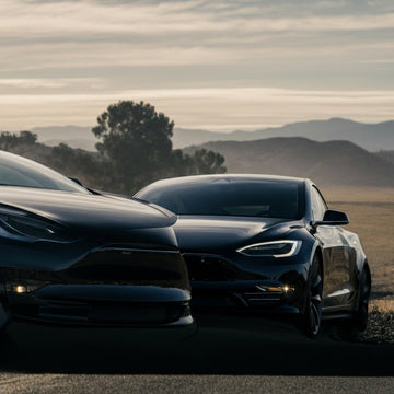 Tesla FSD V14 Set for Early Wide Release Next Week: Elon Musk - Tesery Official Store