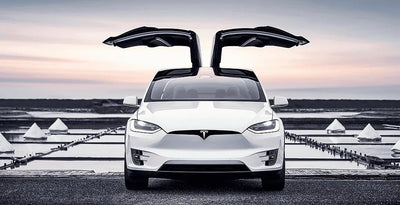 Tesla führt die Anklage an: Ein Pionier in der Flotten elektr ifizierung