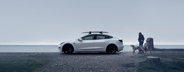 Tesla Dachträger für Modell Y/3: Was Sie wissen müssen?