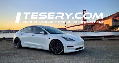 Teslas mutiger Schritt: Die EV-Preise in nur einem Jahr um ein Fünftel senken