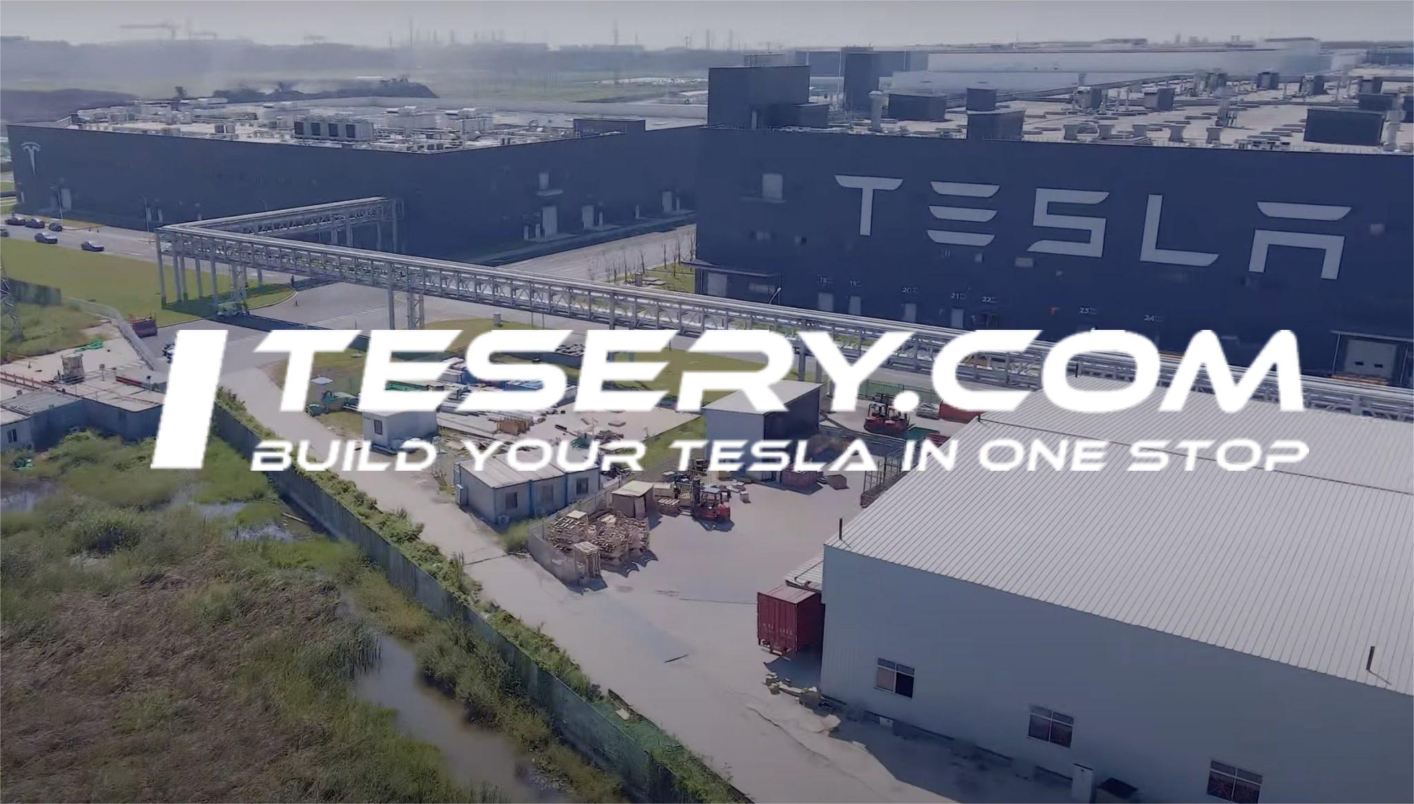 Tesla's Surge in the Chinese Auto Market: August Rebound - Tesery Official Store