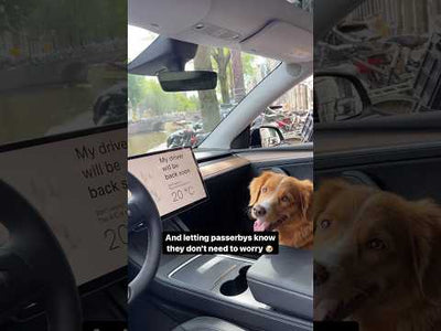 Der ultimative Leitfaden zum Tesery Tesla Model Y Dog Mode