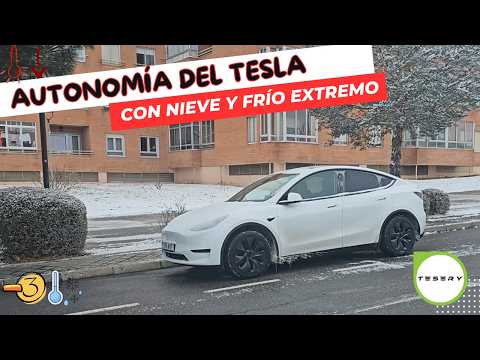 Verwandeln Sie Ihren Tesla: Tesery Echtcarbon-Kameraabdeckungen