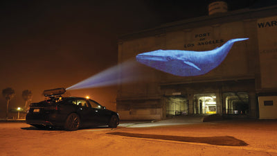 Unser Tesla in ein mobiles Outdoor-Kino-Erlebnis verwandeln