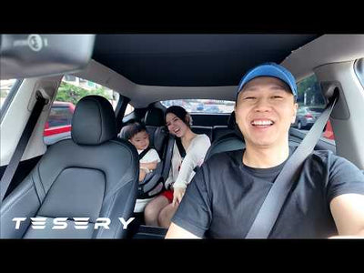 Werten Sie Ihre Fahrt auf: Tesery Model 3/Y schwenkbare Bildschirmhalterung im Test
