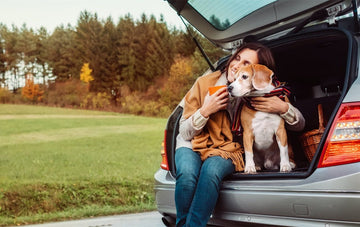 Why Tesla Model Y All Weather Floor Mats Are Important for Your Tesla? - Tesery Official Store