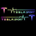 Letter Emblem Sticker For Tesla Model 3/Y/S/X - Tesery Official Store