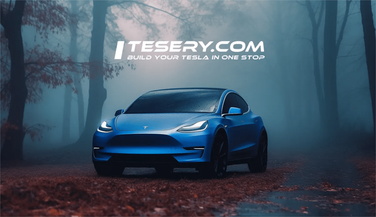 Customized Tesla in an outdoor setting